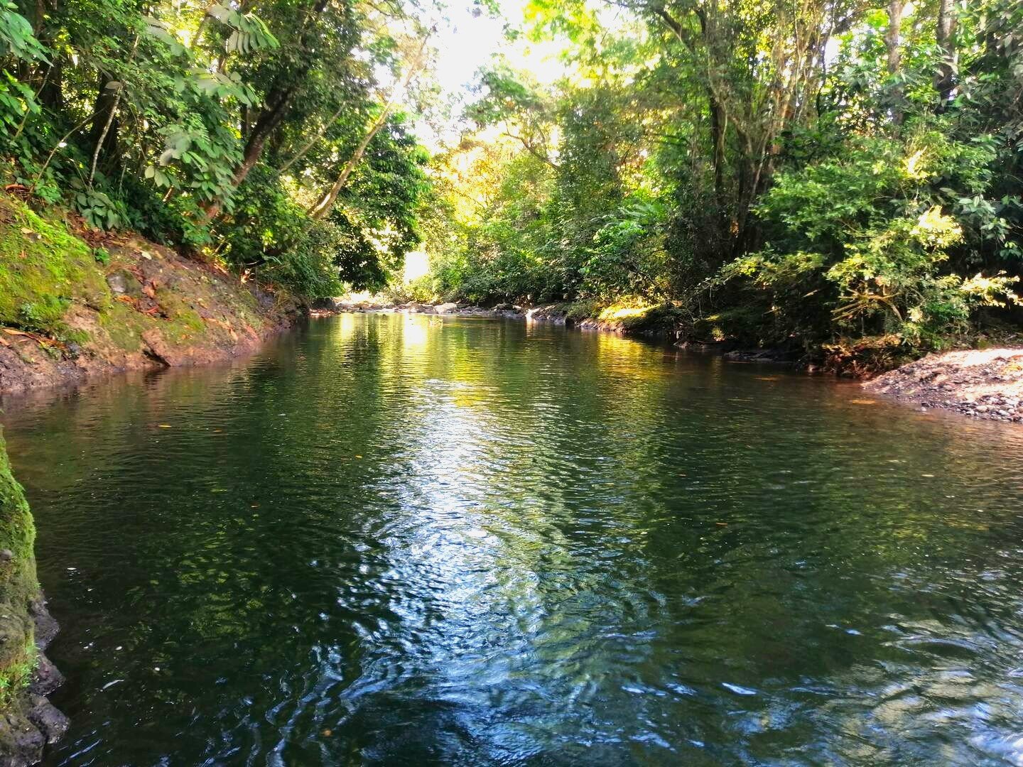 Shaded river with forested banks at Veritas Village