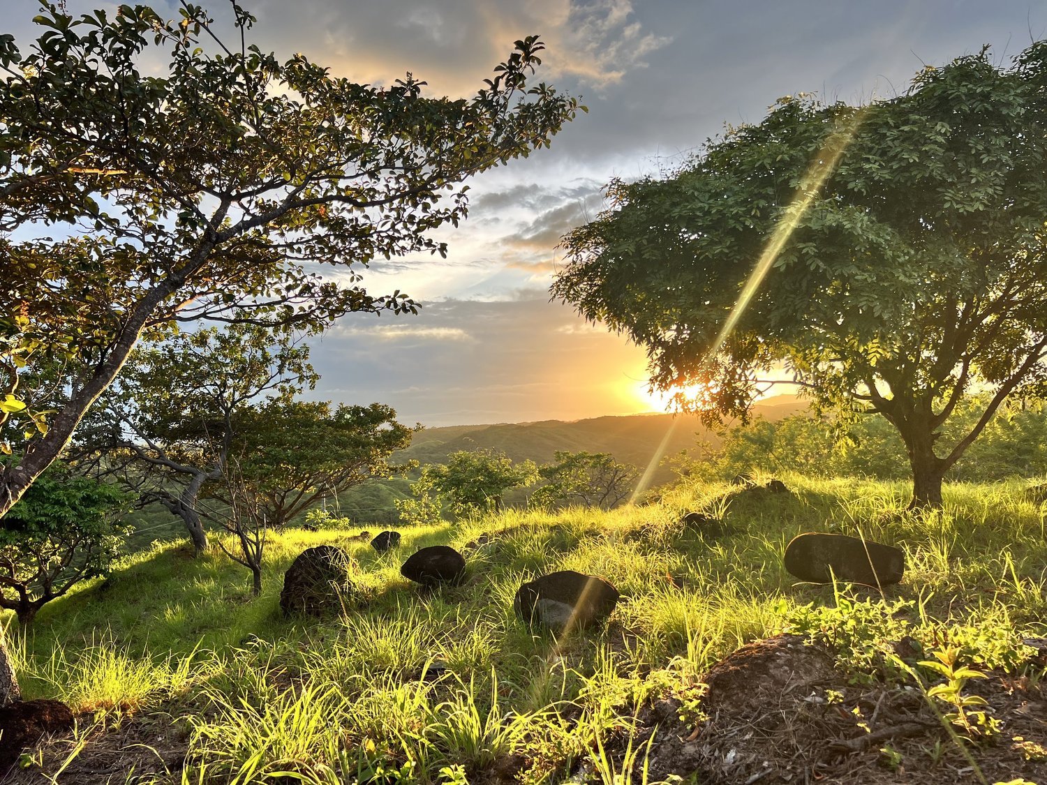 Sunset over green hills and trees at Veritas Village