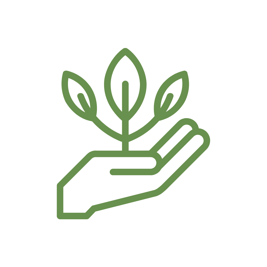 Hand holding a seedling: grow your own food
